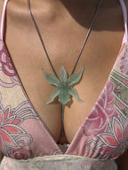 The Jade Spectre Orchid