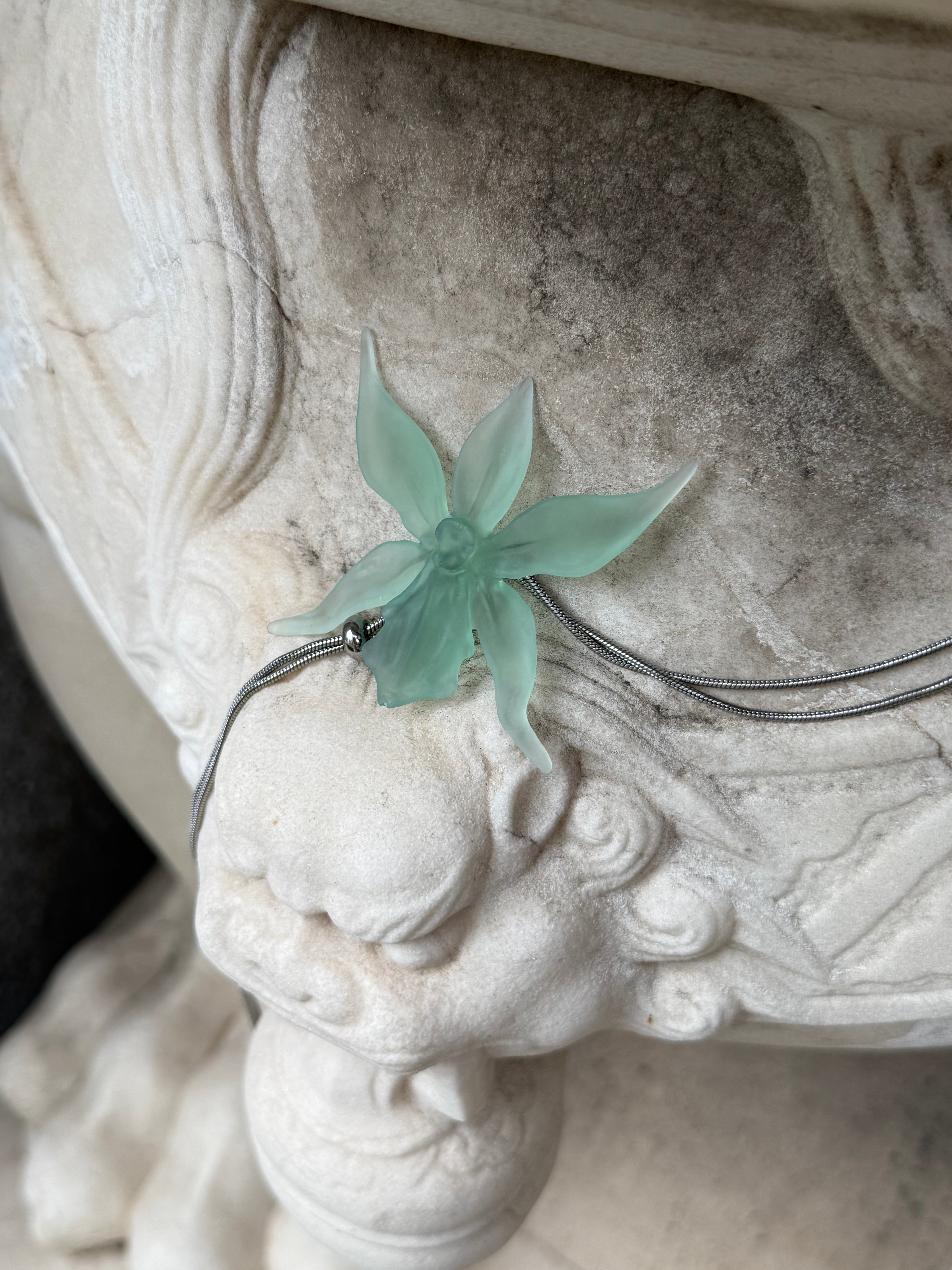 The Jade Spectre Orchid