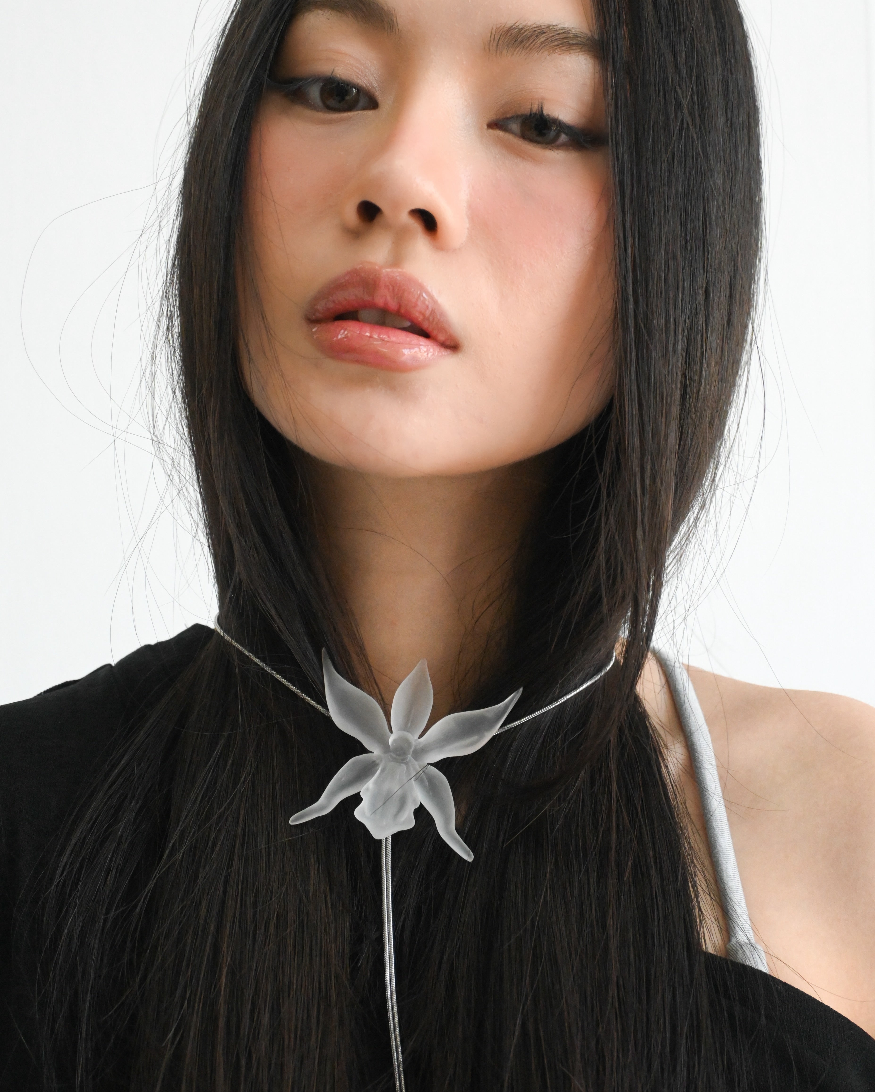 The Classic Spectre Orchid