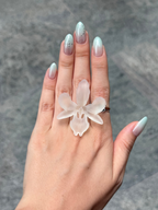 The Soleil Ring ⋆ 𖤓 ⋆˚࿔